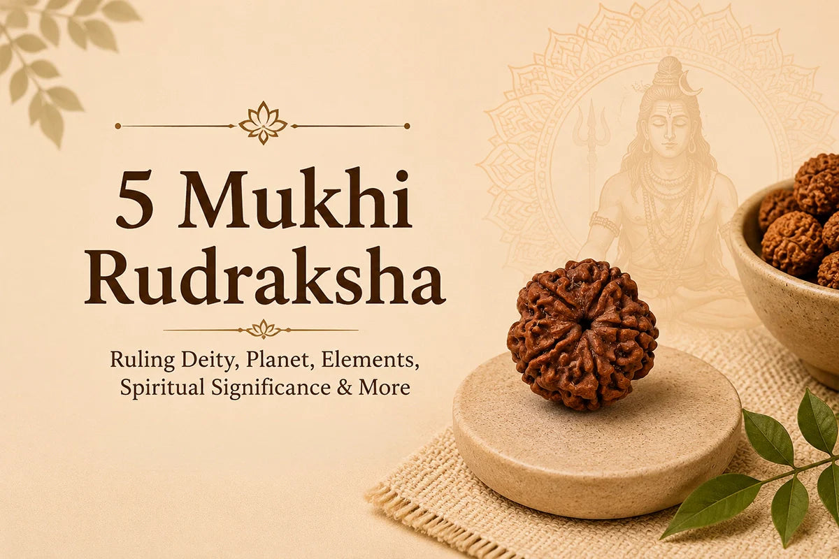 5 Mukhi Rudraksha: Ruling Deity, Planet, Elements, Spiritual Significance & More