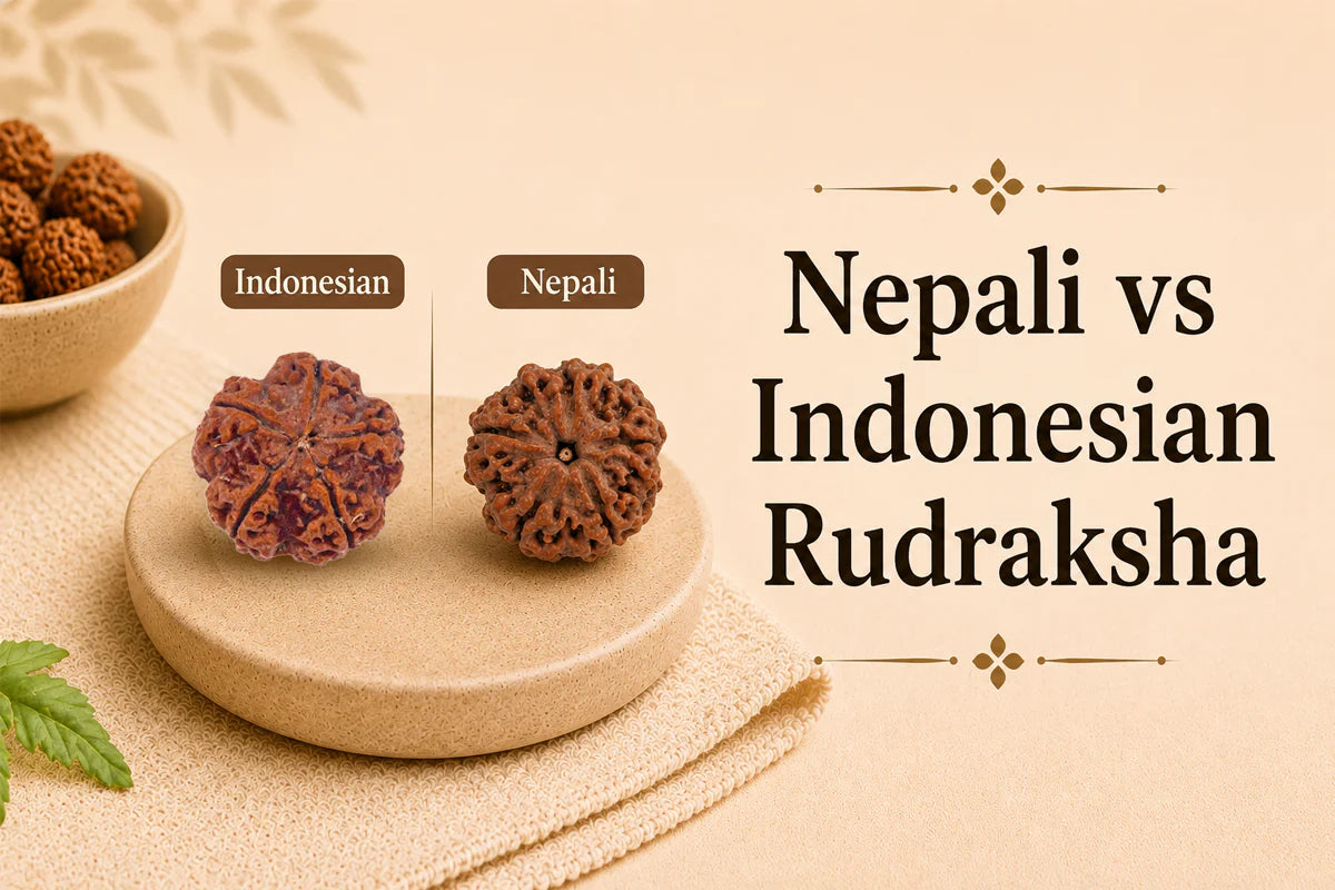Nepali vs Indonesian Rudraksha: Size, Price, and Real Differences