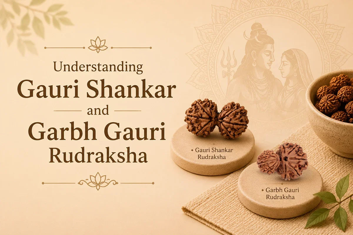 Understanding Gauri Shankar and Garbh Gauri Rudraksha