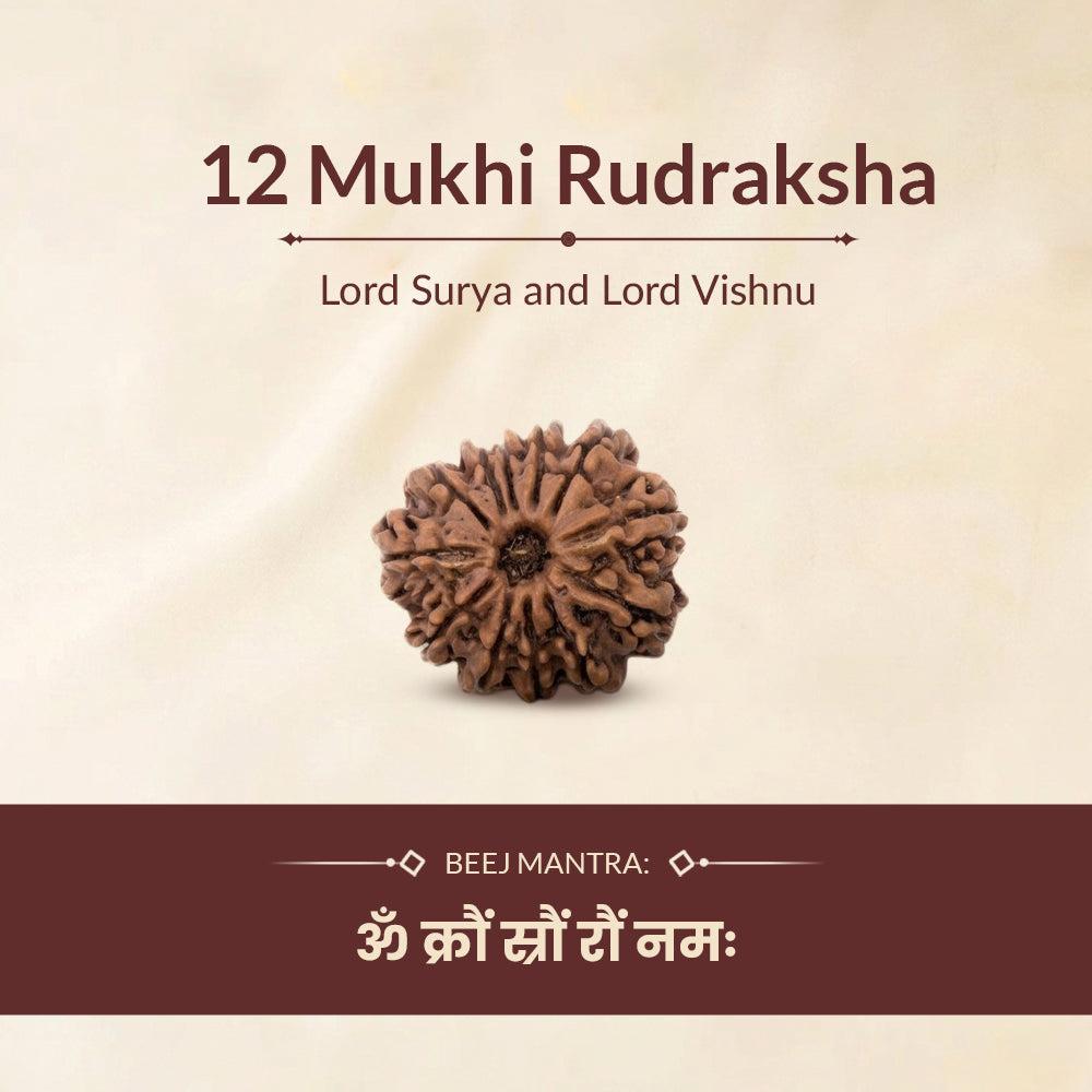 12 mukhi rudraksha beej mantra and ruling deity