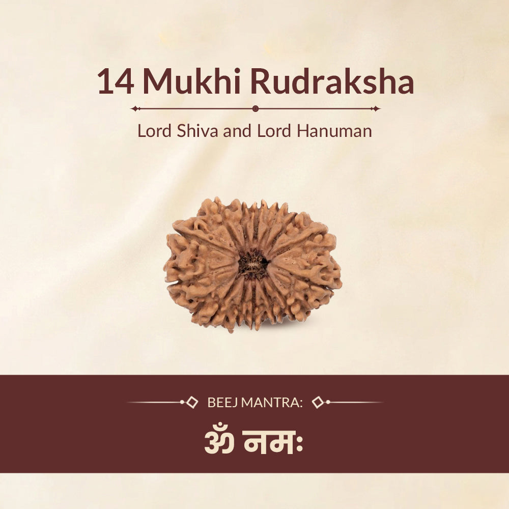 14 mukhi rudraksha beej mantra and ruling deity