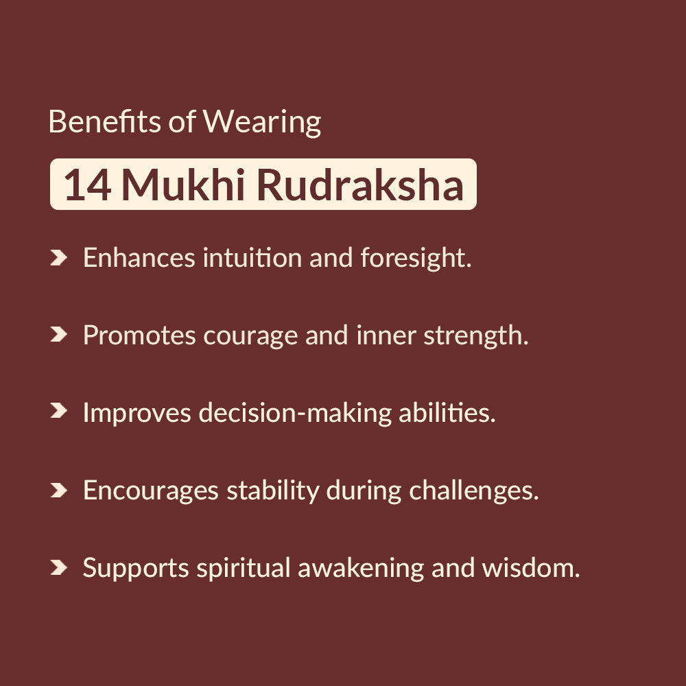 14 mukhi rudraksha benefits