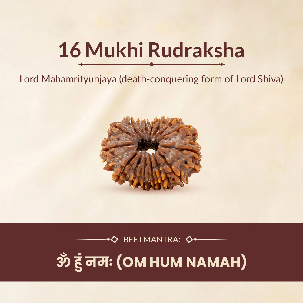 16 mukhi beej mantra and deity