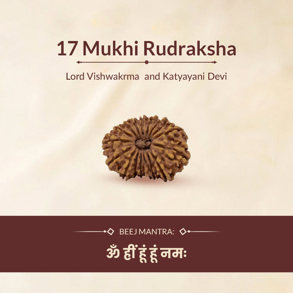 17 mukhi rudraksha beej mantra and ruling deity