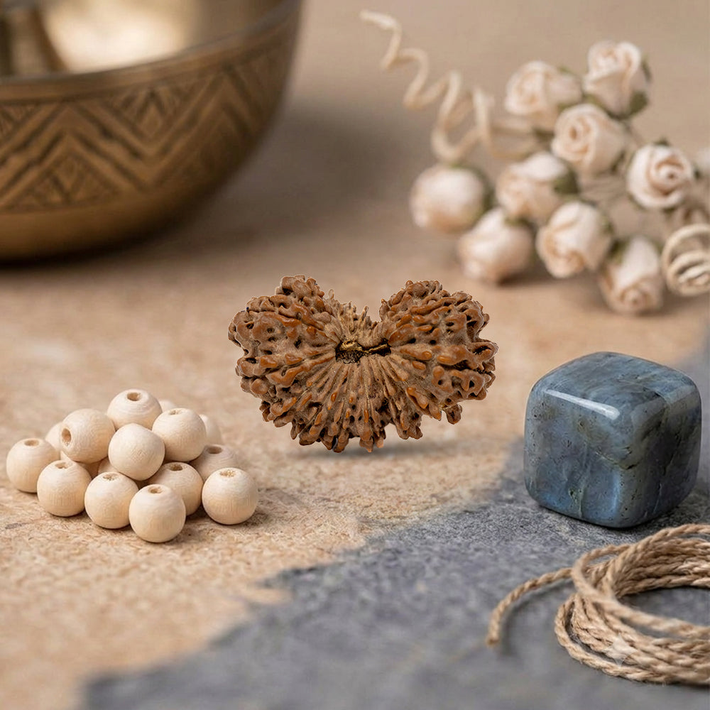 19 mukhi rudraksha bead