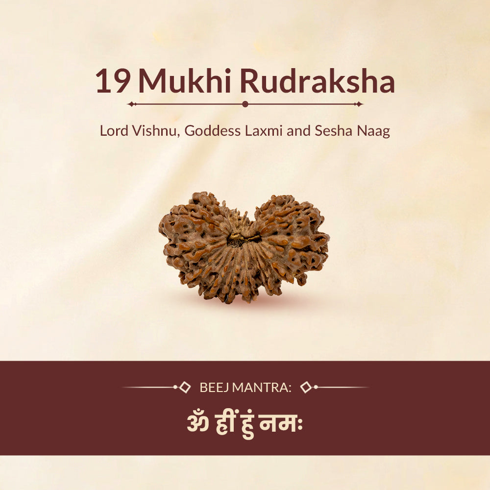 19 mukhi rudraksha beej mantra and deity