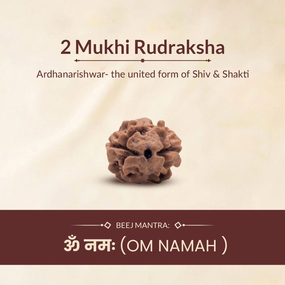 2 Mukhi Rudraksha ruling deity and beej mantra