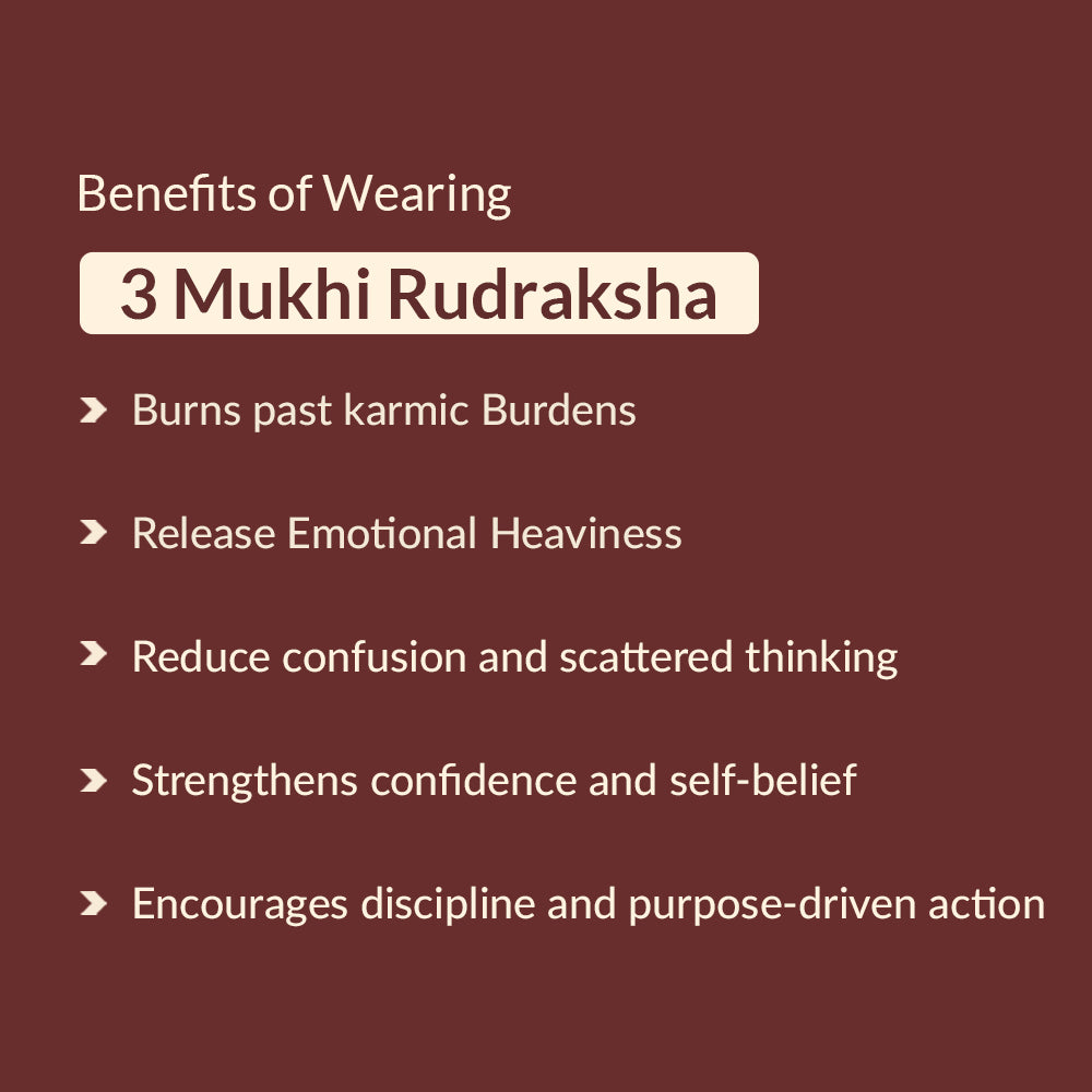 3 Mukhi Rudraksha benefits