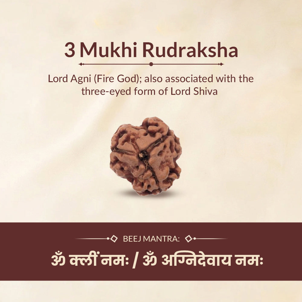 3 Mukhi Rudraksha Ruling Deity and Beej Mantra