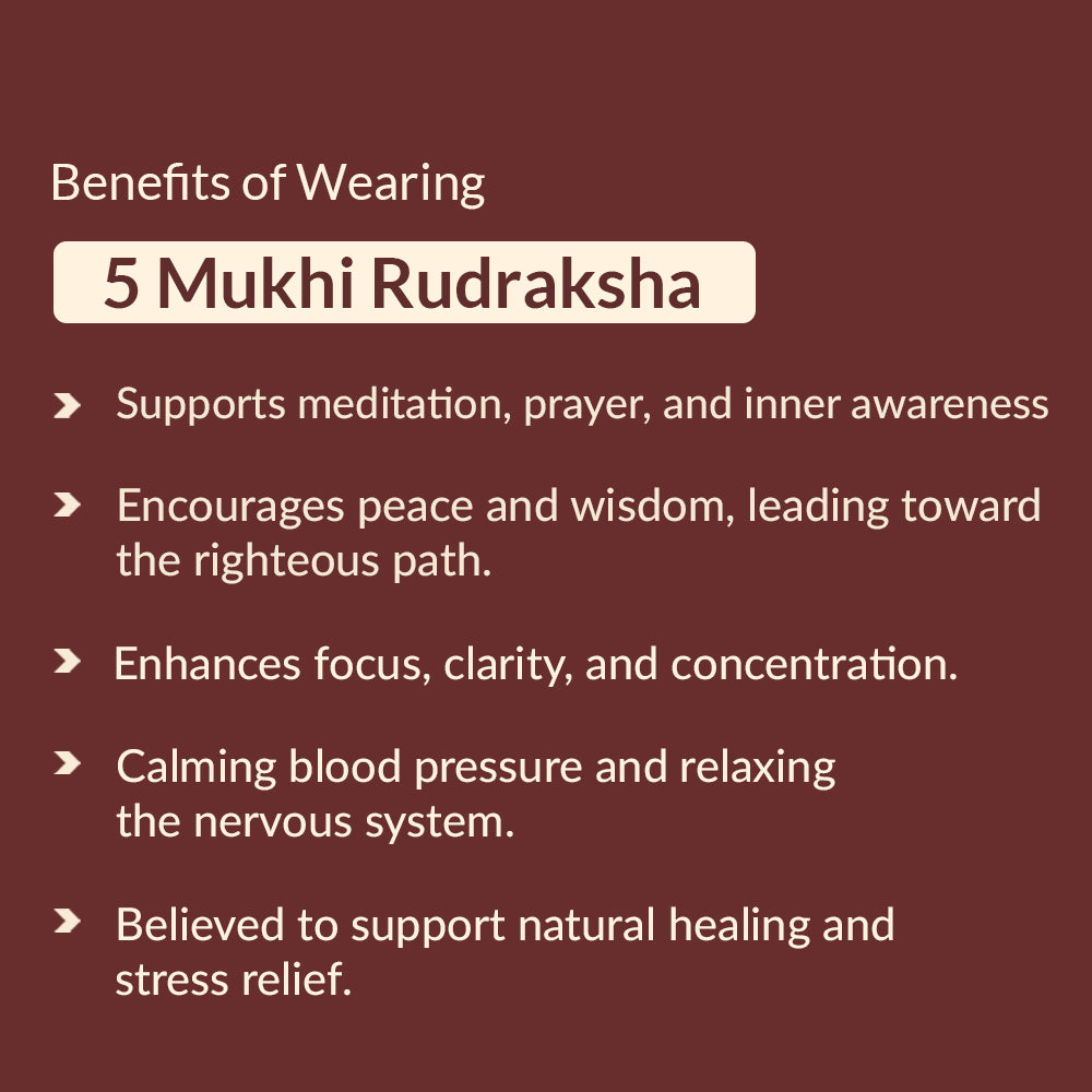 5 Mukhi Rudraksha benefits