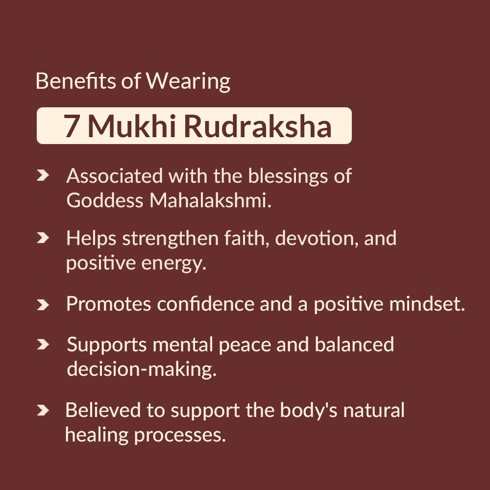 Benefits of 7 mukhi rudraksha