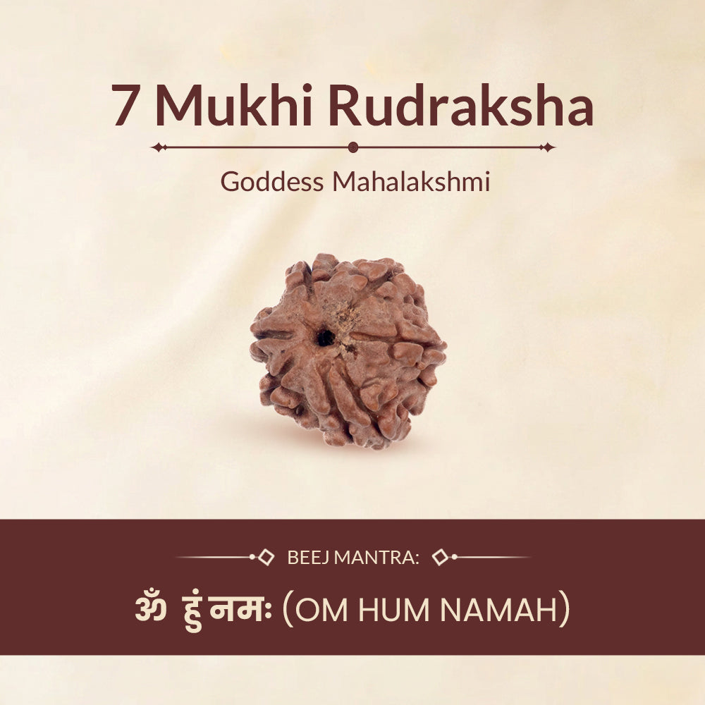 7 mukhi rudraksha ruling deity and beej mantra