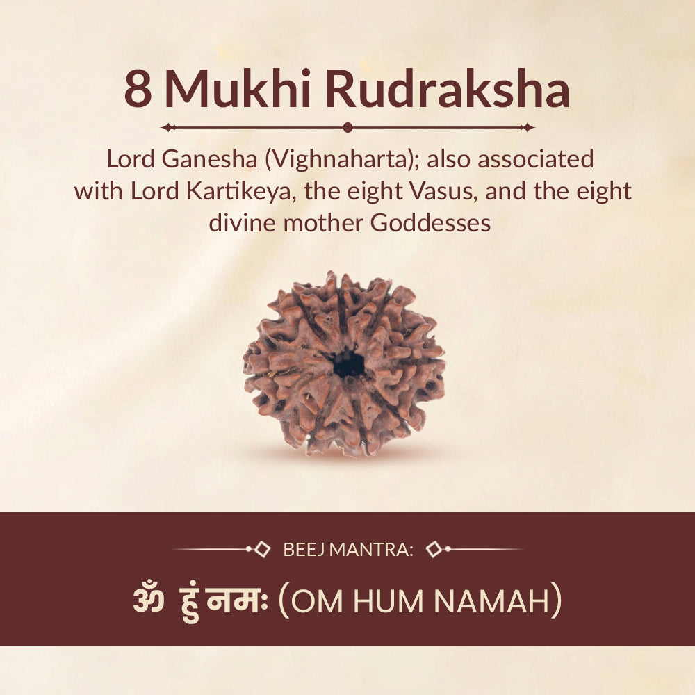 8 mukhi rudraksha beej mantra