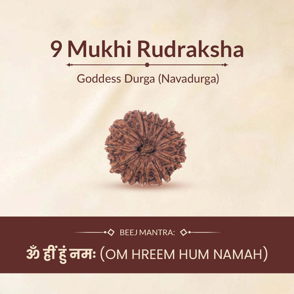 9 mukhi rudraksha deity and mantra