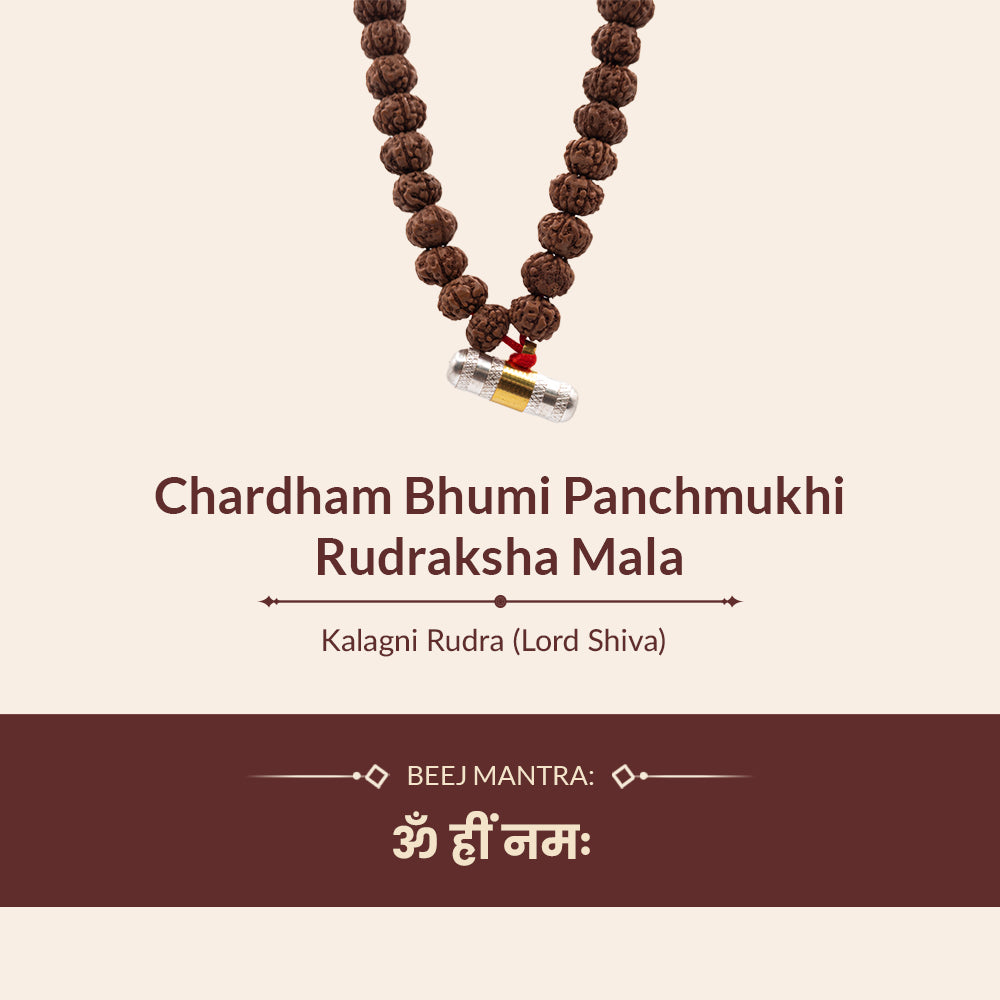 Chardham Bhumi Panchmukhi Rudraksha Mala