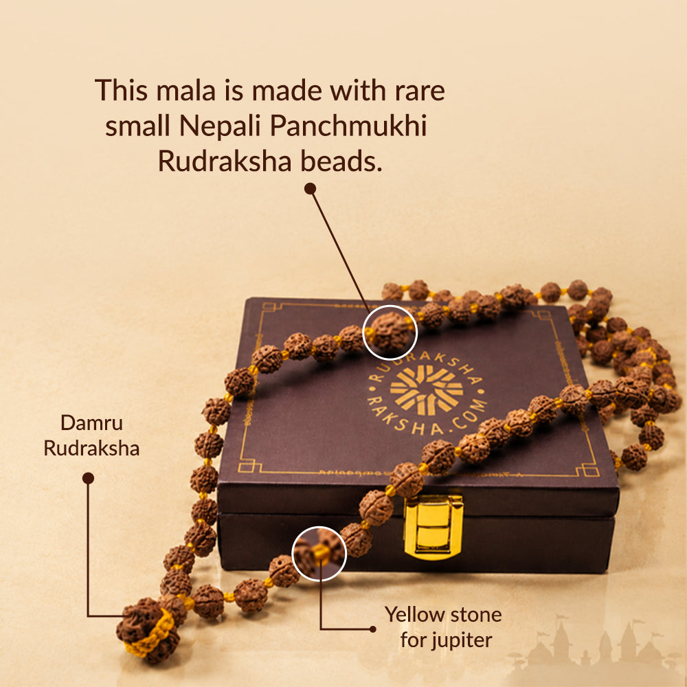 Mala is made with rare small Nepali Panchmukhi Rudraksha beads