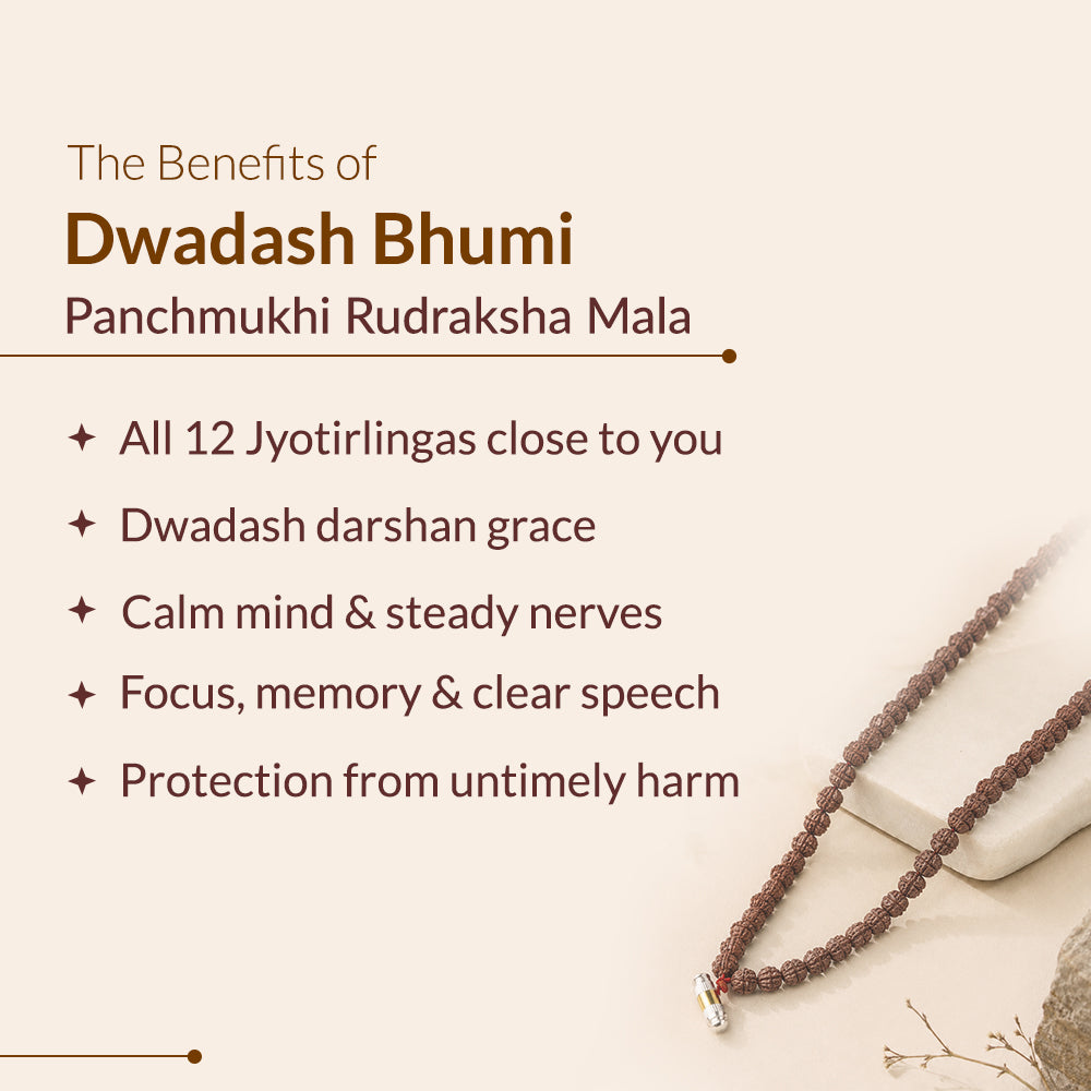 Dwadash Bhumi Panchmukhi Rudraksha Mala