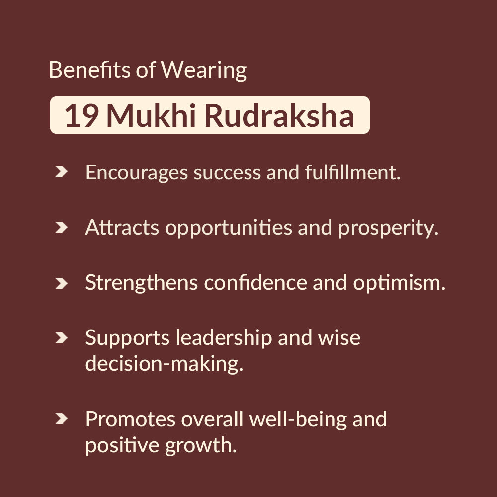 Benefits of 19 Mukhi Rudraksha