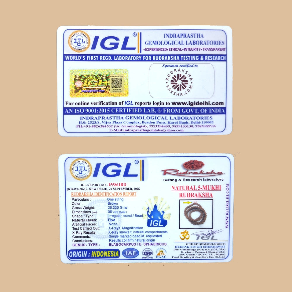 Lab certificate along with Chardham Bhumi Panchmukhi Rudraksha Mala