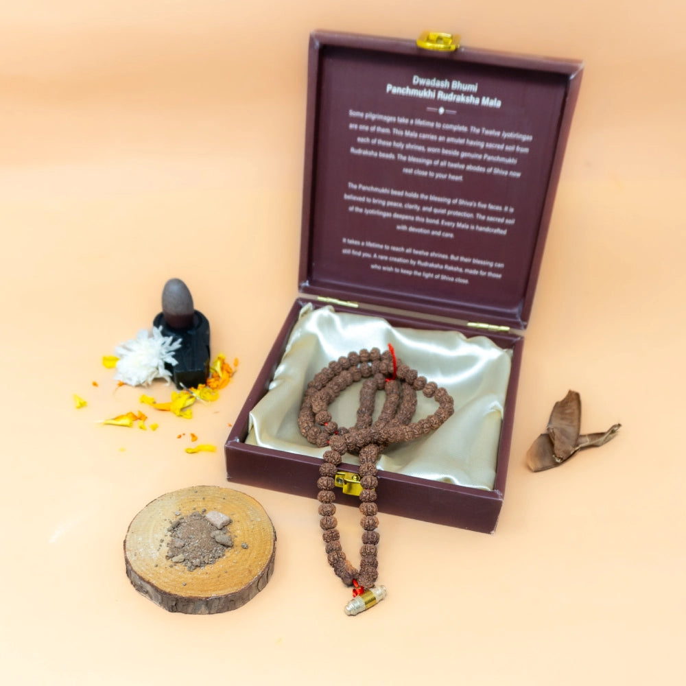Dwadash Bhumi Panchmukhi Rudraksha Mala
