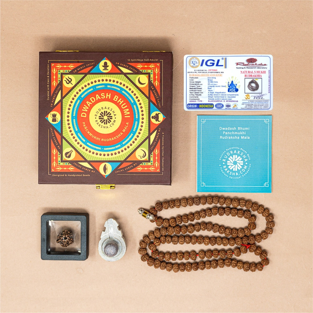 Dwadash Bhumi Panchmukhi Rudraksha Mala with Lab Certificate