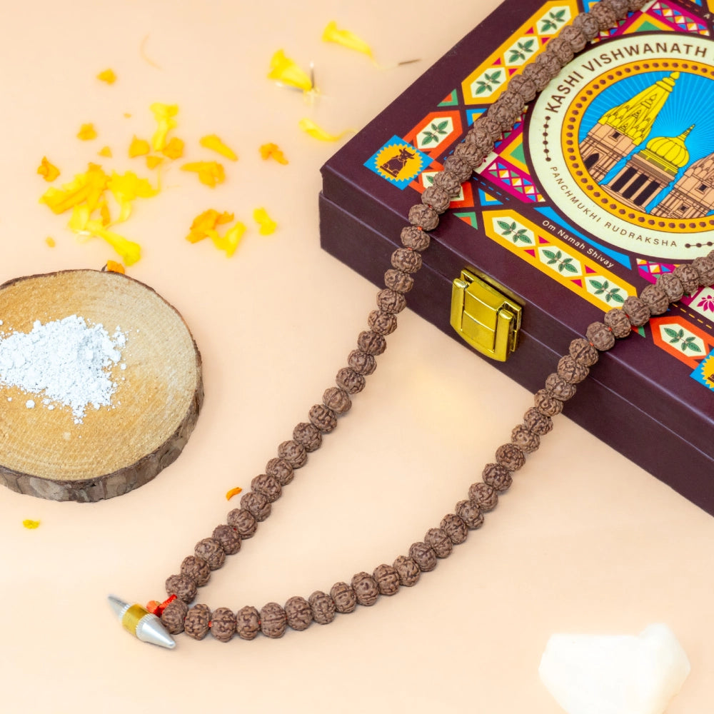 Kashi Vishwanath Bhasma Rudraksha Mala