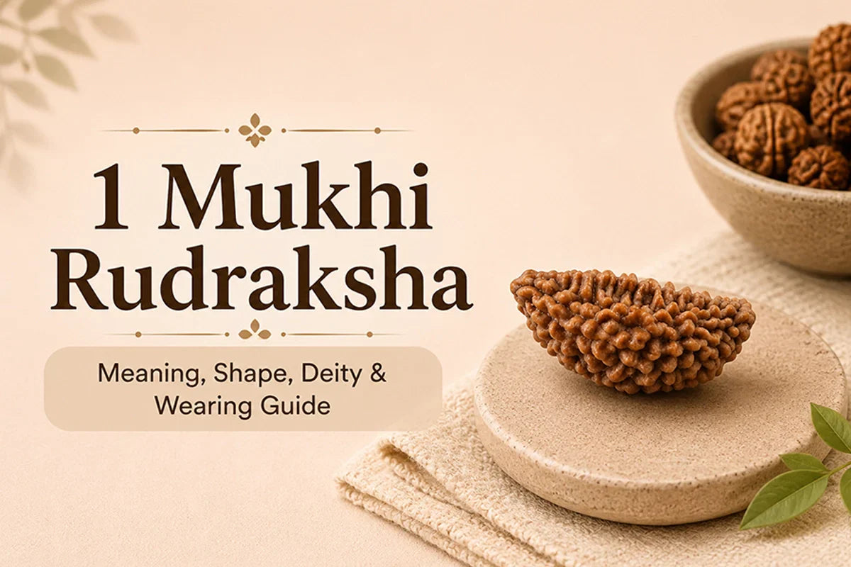 1 Mukhi Rudraksha: Meaning, Shape, Deity and Wearing Guide