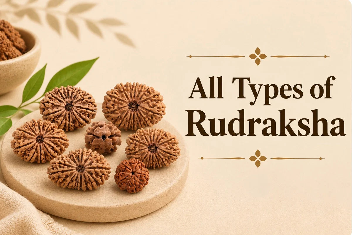 All Types of Rudraksha: Complete Chart With Deity, Planet, Zodiac Sign & More