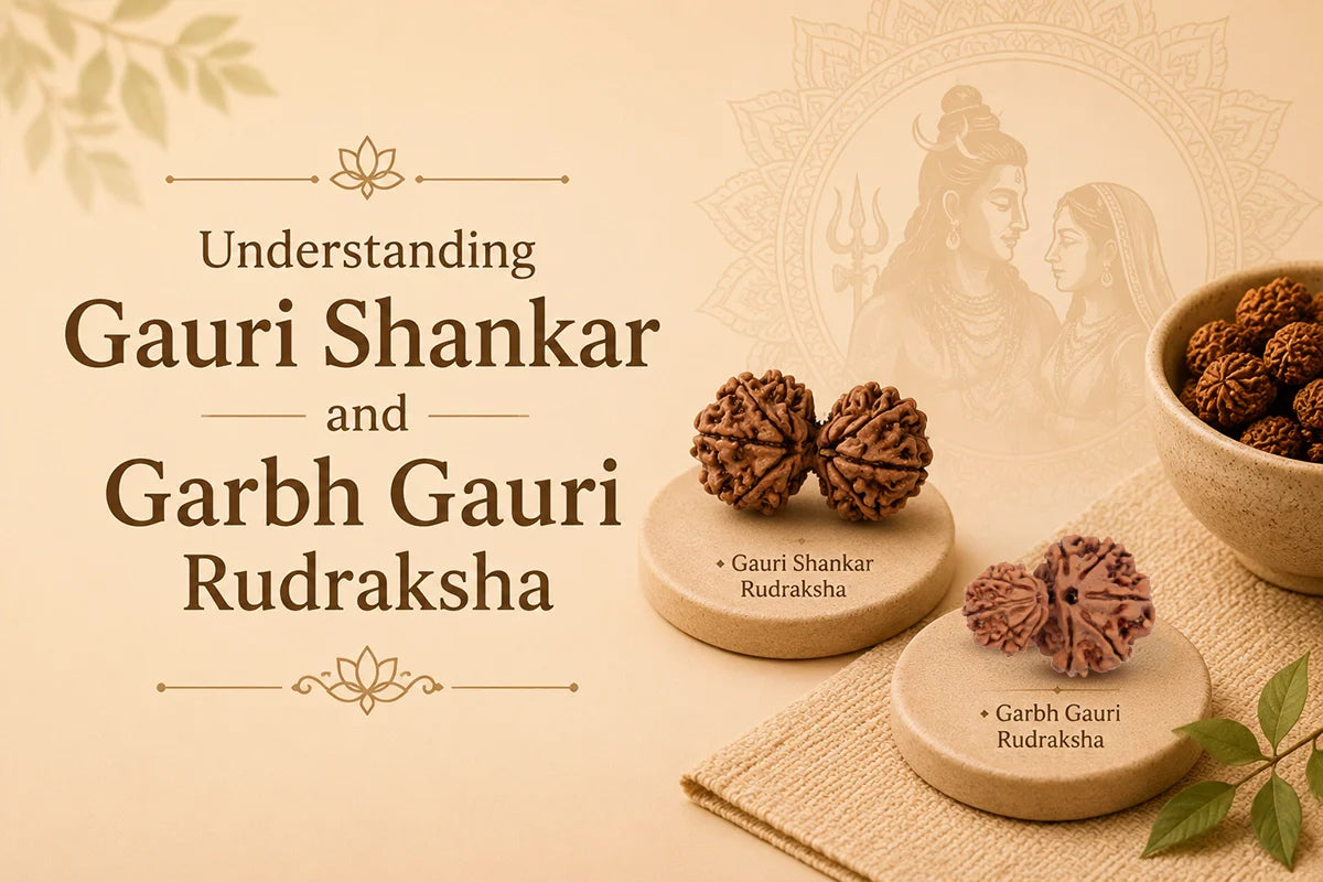 Understanding Gauri Shankar and Garbh Gauri Rudraksha