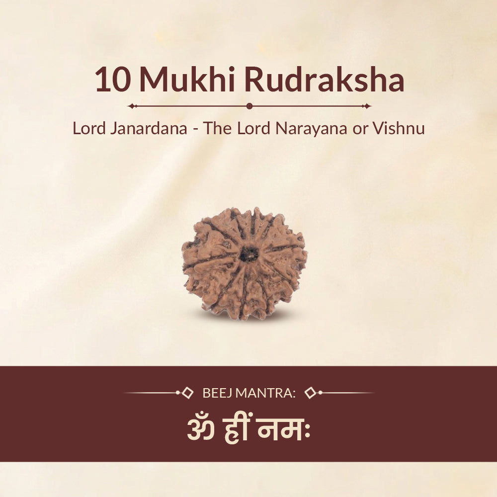 10 mukhi rudraksha ruling deity and beej mantra