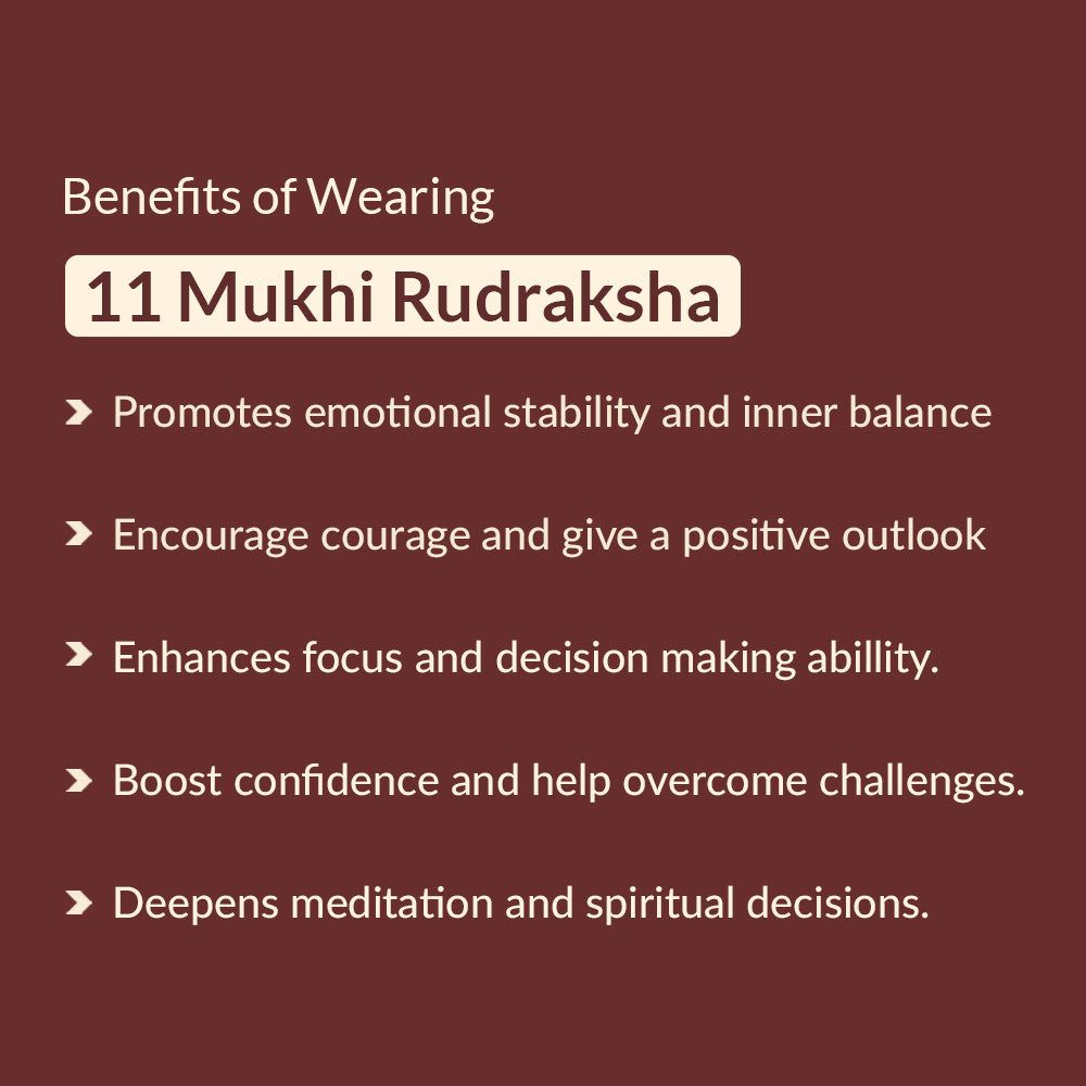 11 mukhi rudraksha