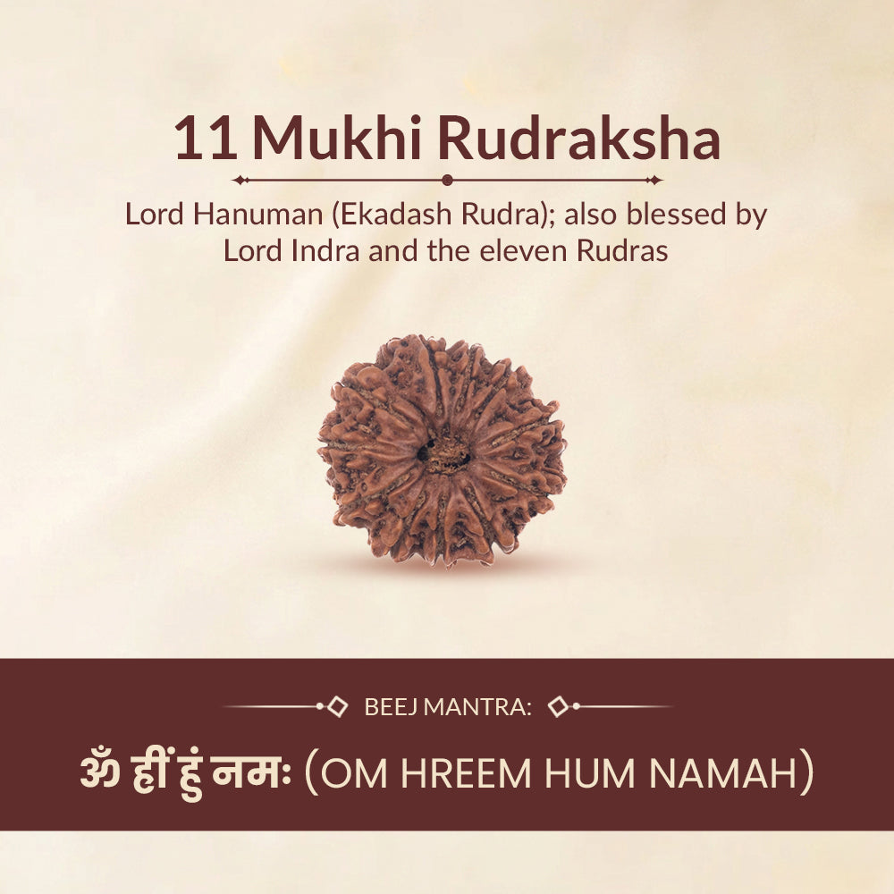 11 mukhi ruling deity and mantra