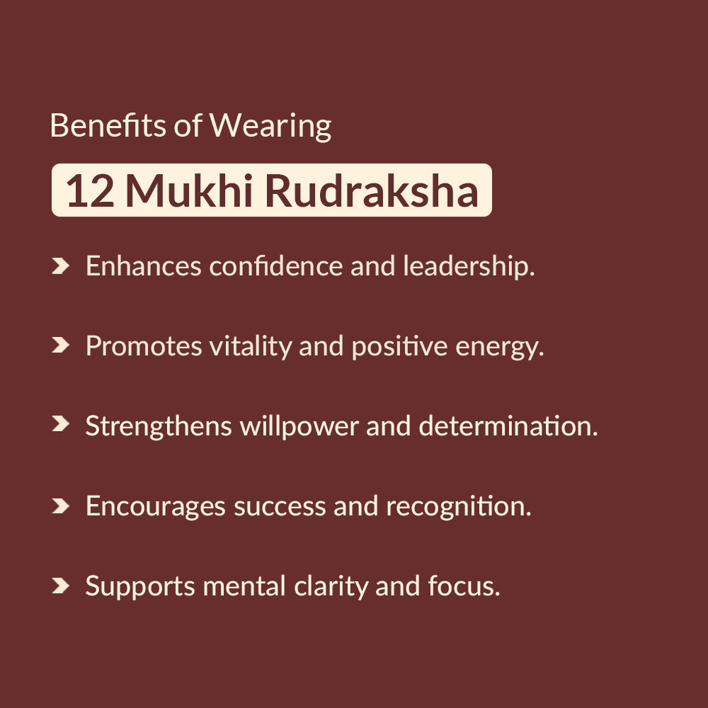 Benefits of 12 mukhi rudraksha