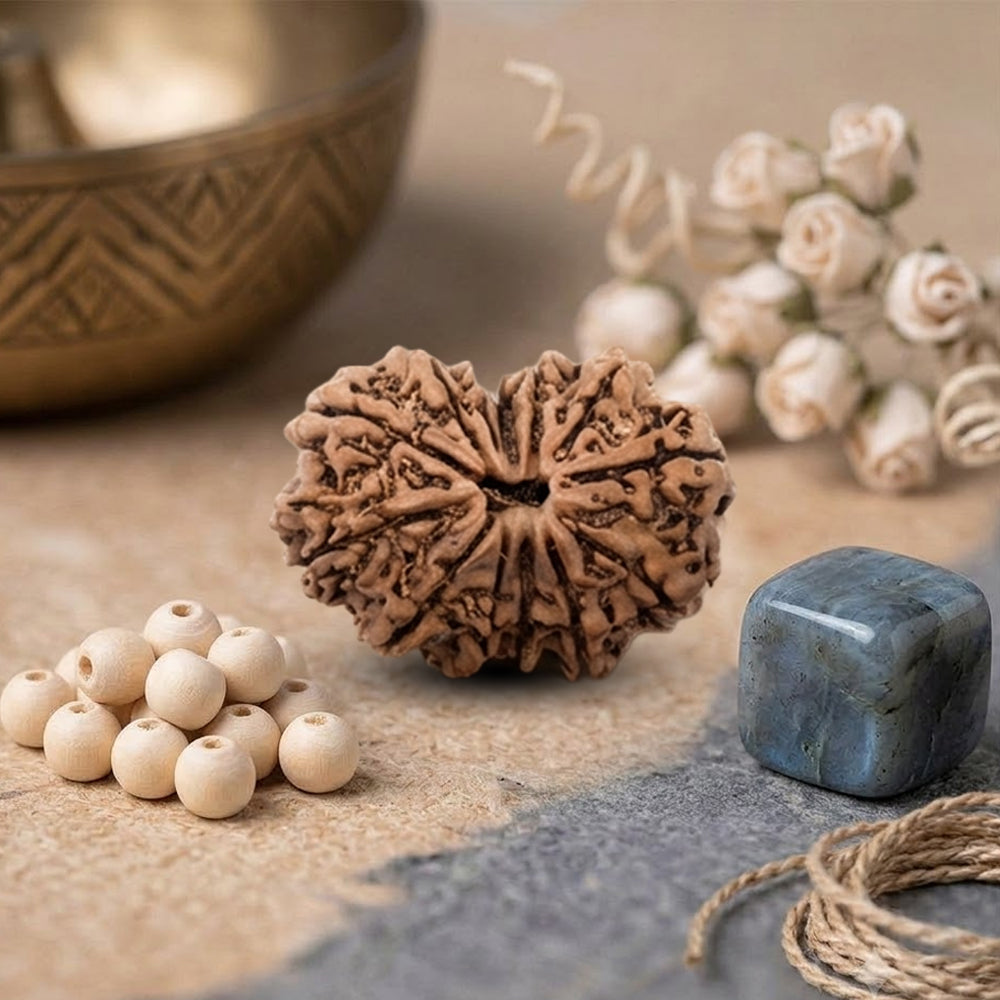 13 mukhi rudraksha bead