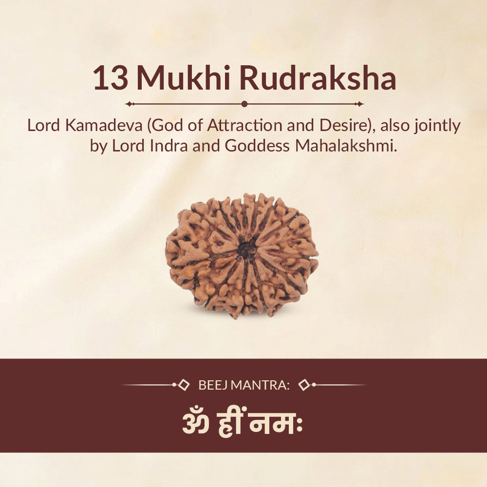 13 mukhi rudraksha beej mantra and deity