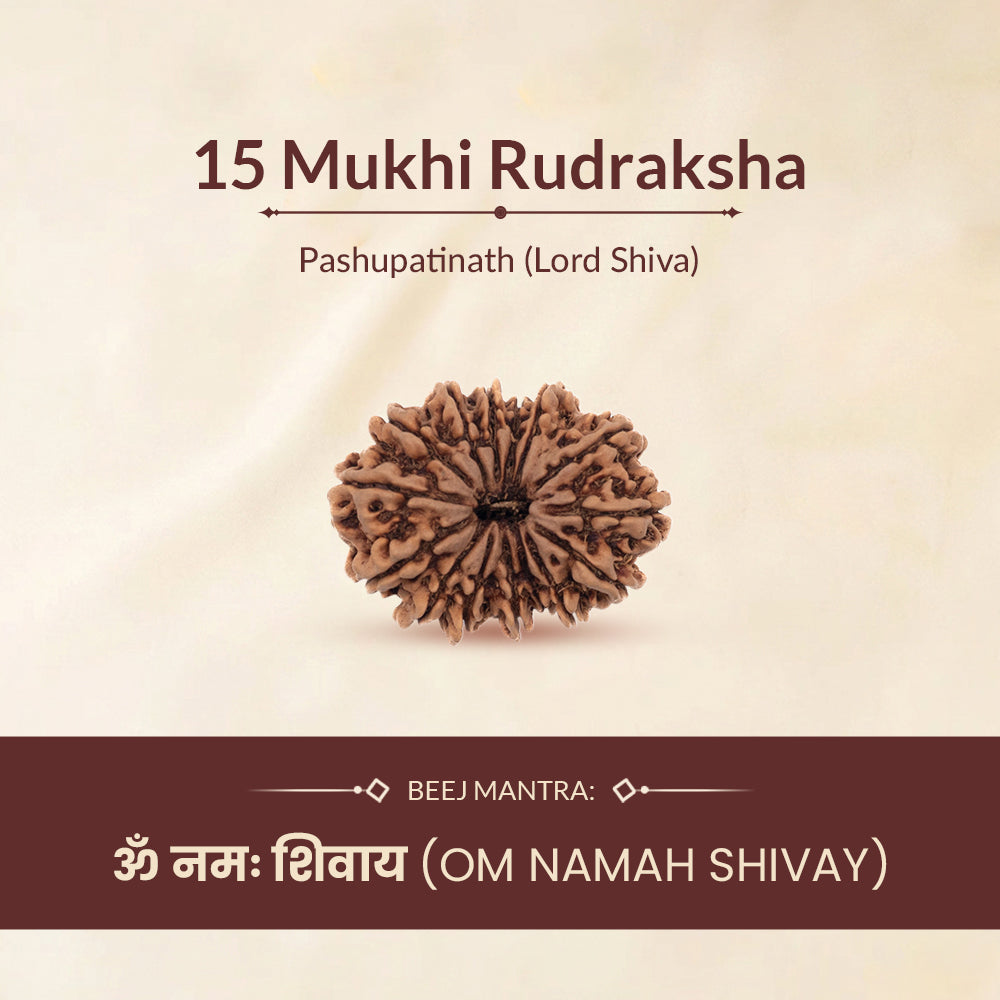 15 mukhi rudraksha ruling deity and mantra