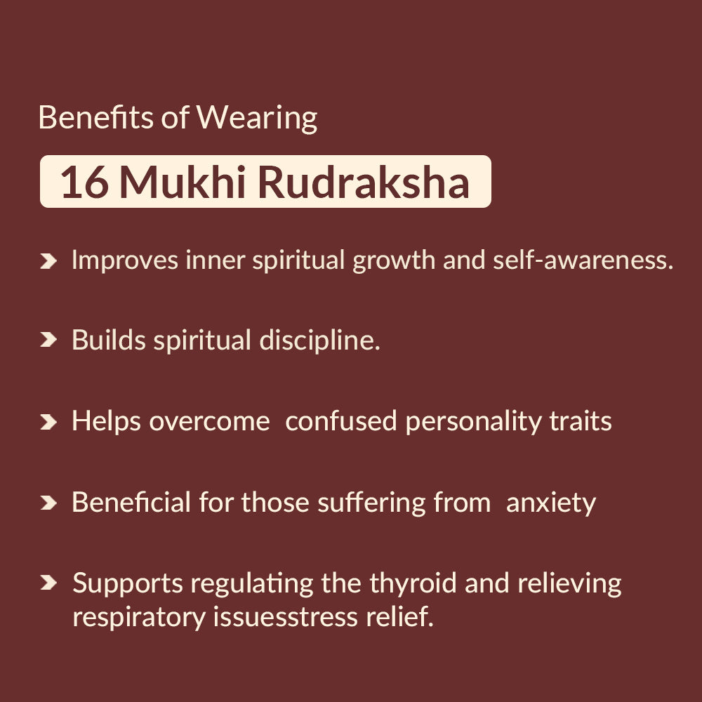 16 mukhi rudraksha benefits