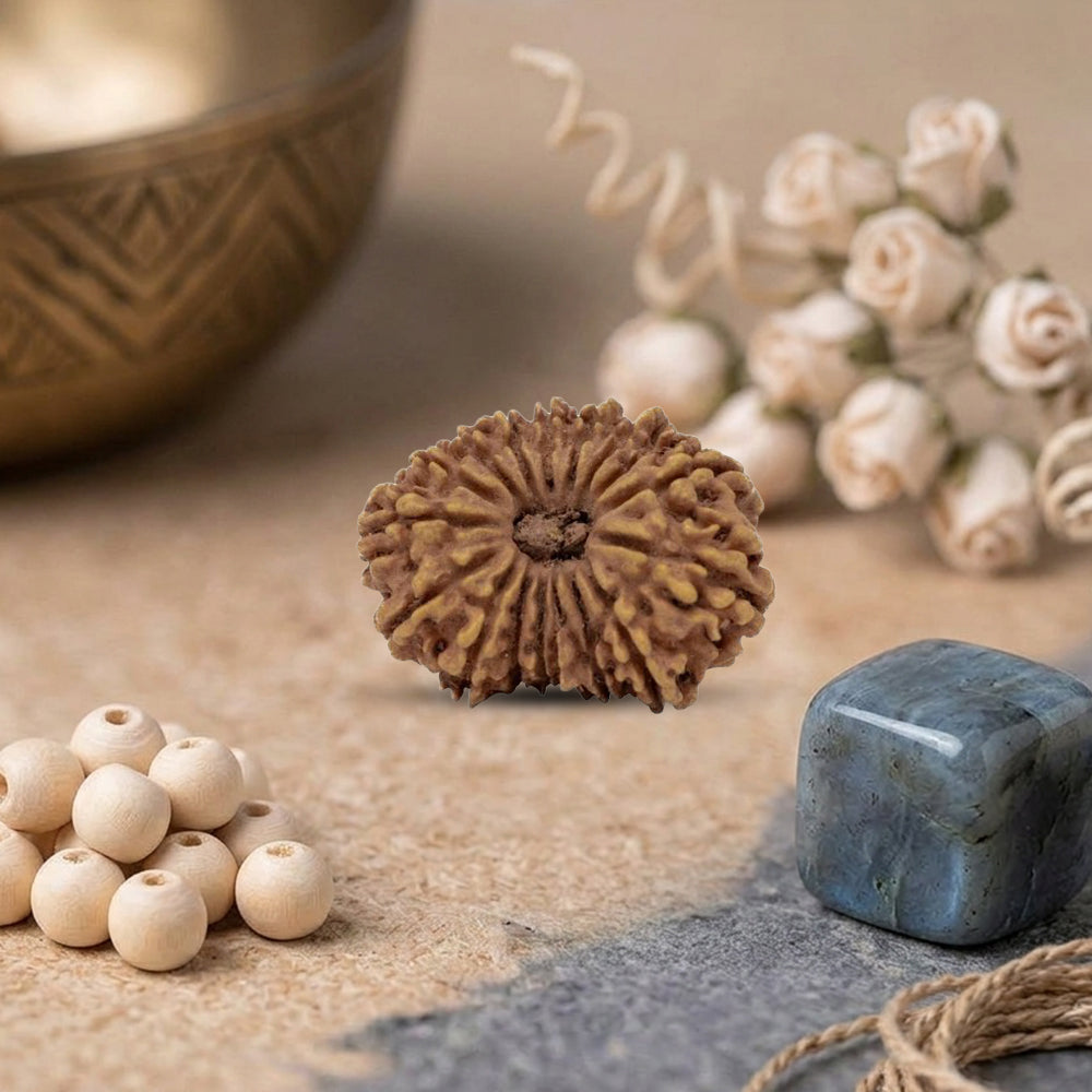 17 mukhi rudraksha bead