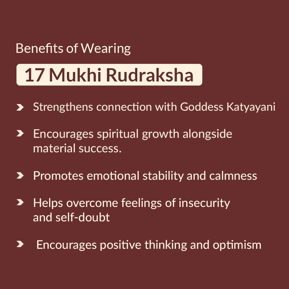 17 mukhi rudraksha benefits