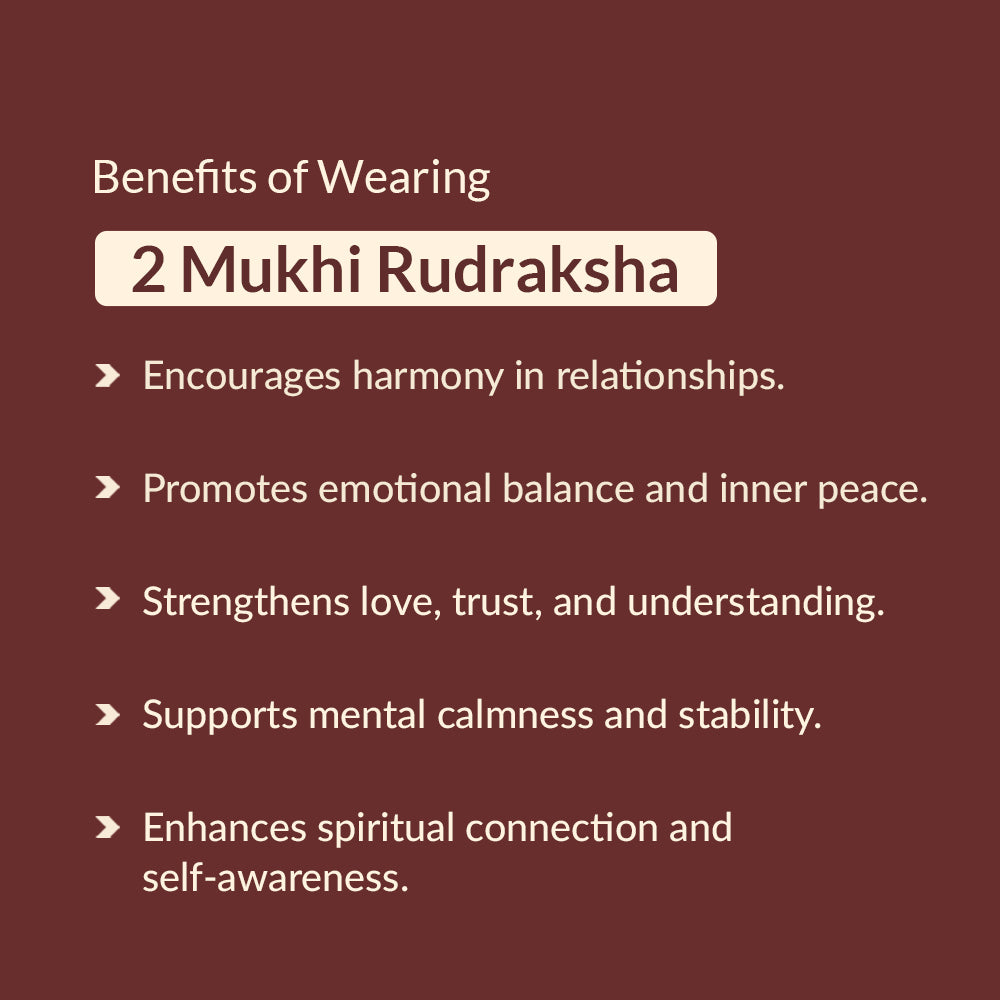 2 Mukhi Rudraksha benefits