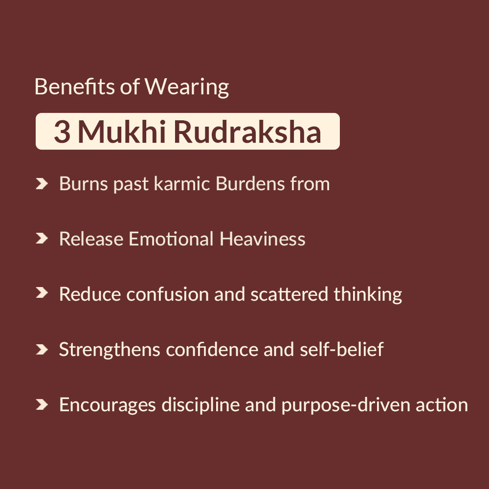 3 Mukhi Rudraksha benefits