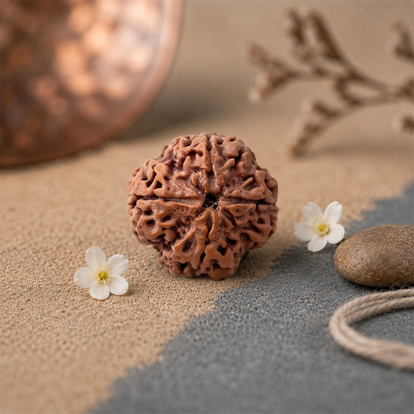 4 Mukhi Rudraksha