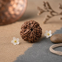 5 Mukhi Rudraksha