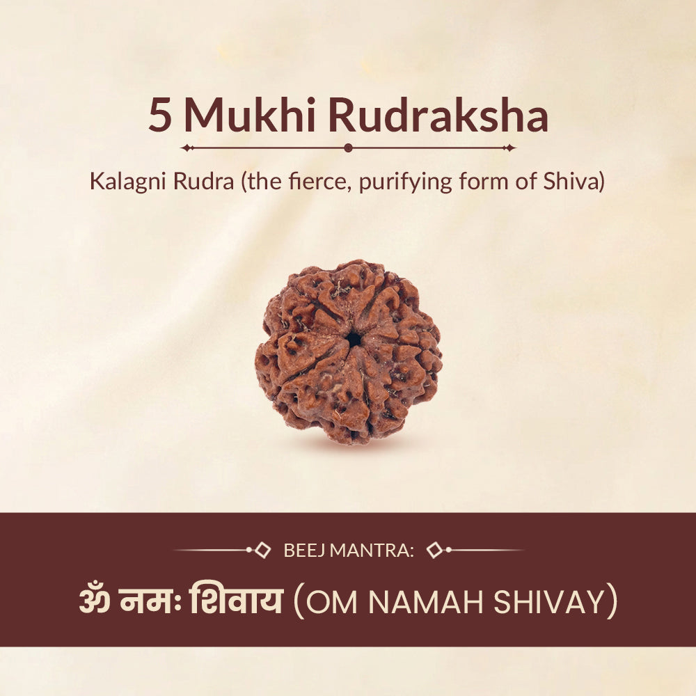 Ruling Deity and Beej Mantra of 5 Mukhi