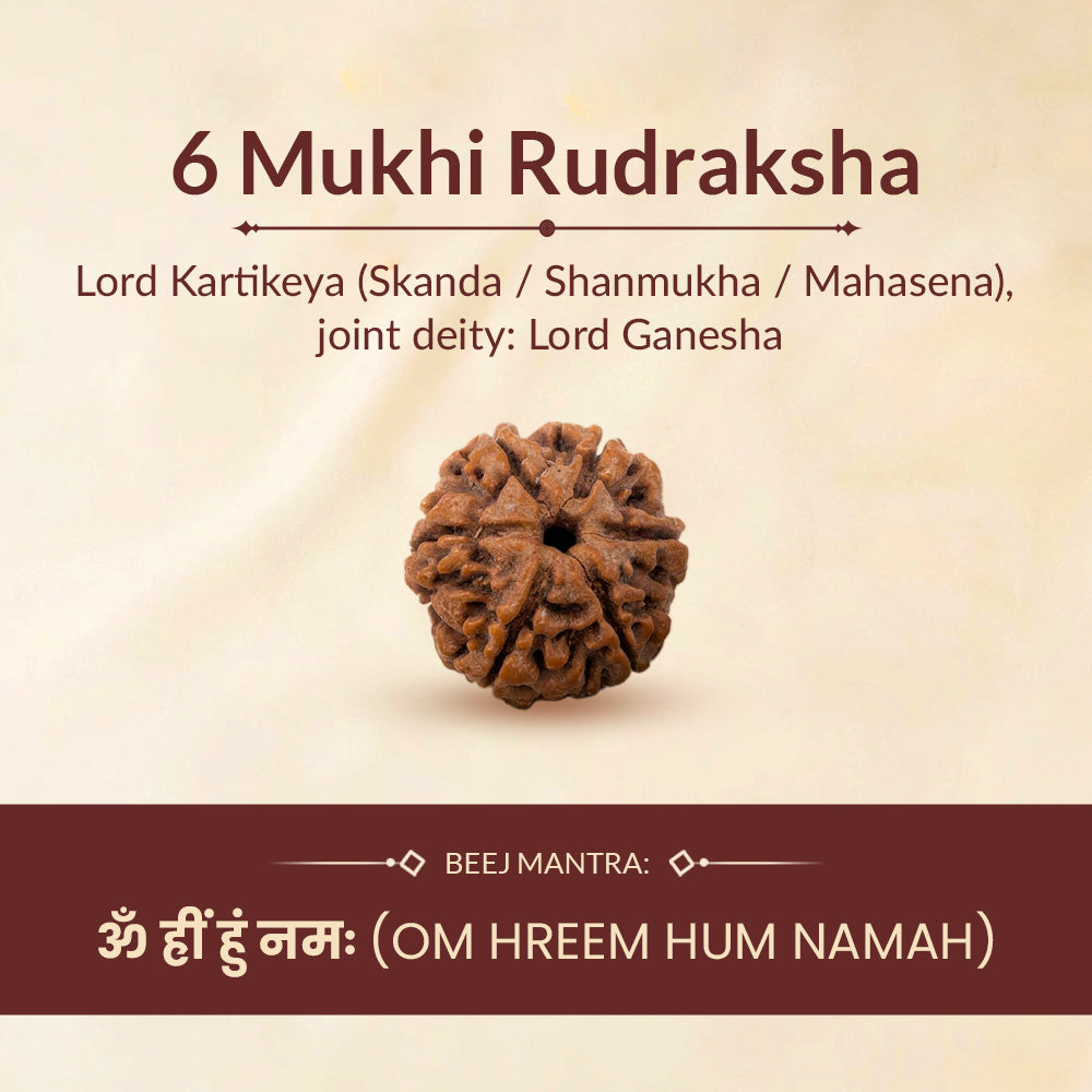 6 Mukhi Rudraksha ruling deity and beej mantra