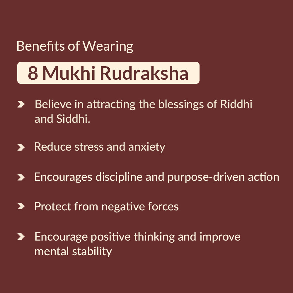 8 mukhi rudraksha benefits