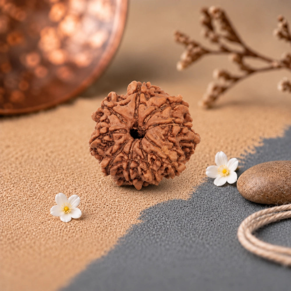 9 Mukhi Rudraksha