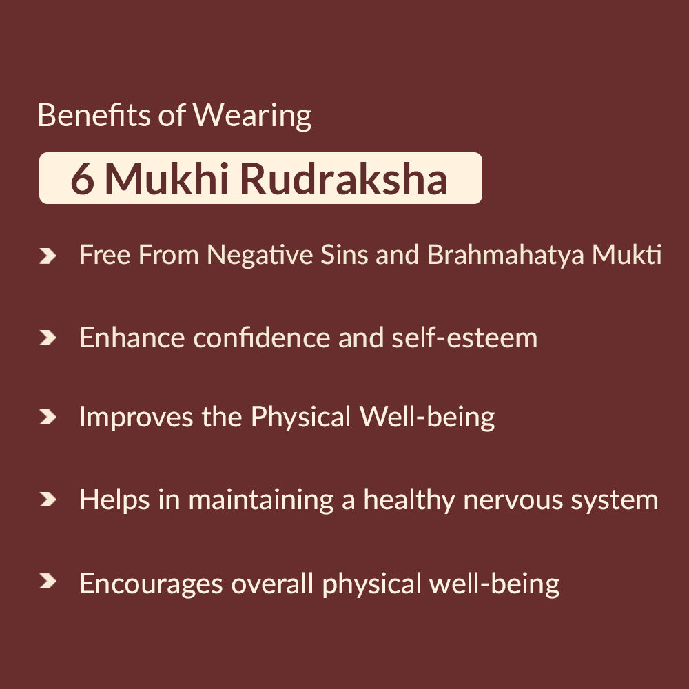 Benefits of 6 mukhi rudraksha