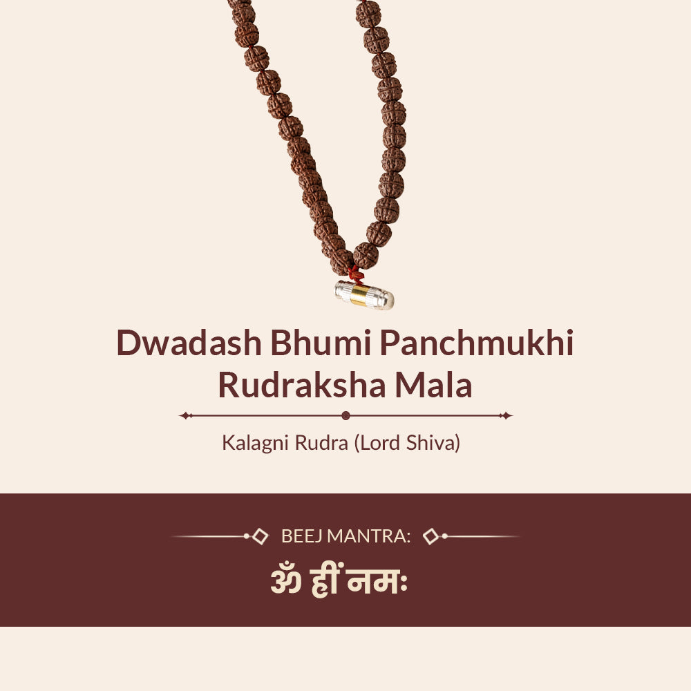 Dwadash Bhumi Panchmukhi Rudraksha Mala