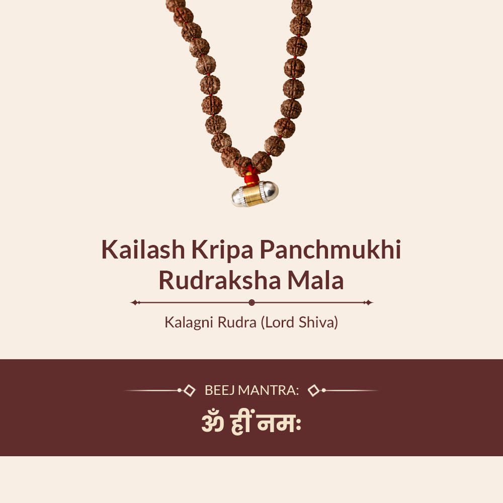 Kailash Kripa Panchmukhi Rudraksha Mala